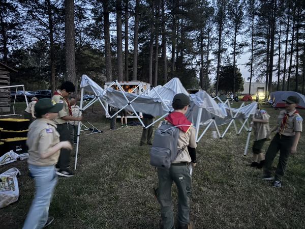 Setting up canopies among the pines at dusk