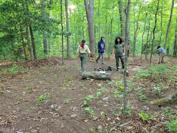 Scouts working in the forest