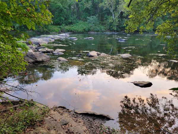Calm river reflecting the trees and sky